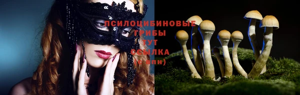 прущая мука Заводоуковск