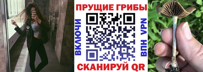 мега ТОР  Калачинск  Галлюциногенные грибы MAGIC MUSHROOMS 